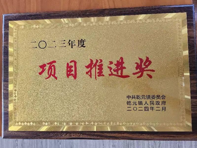 项目推进奖